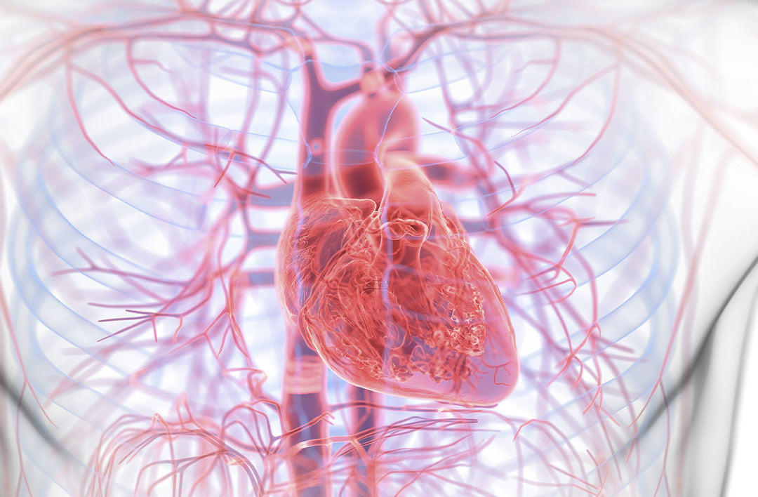 New Study: Common Dental Infections Can Trigger Heart Attacks